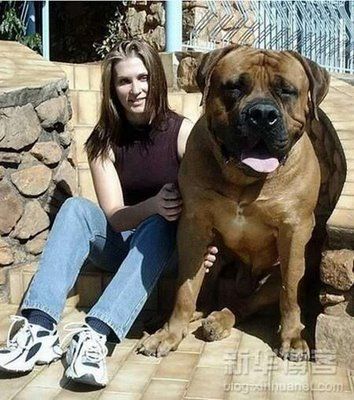 91.jpg